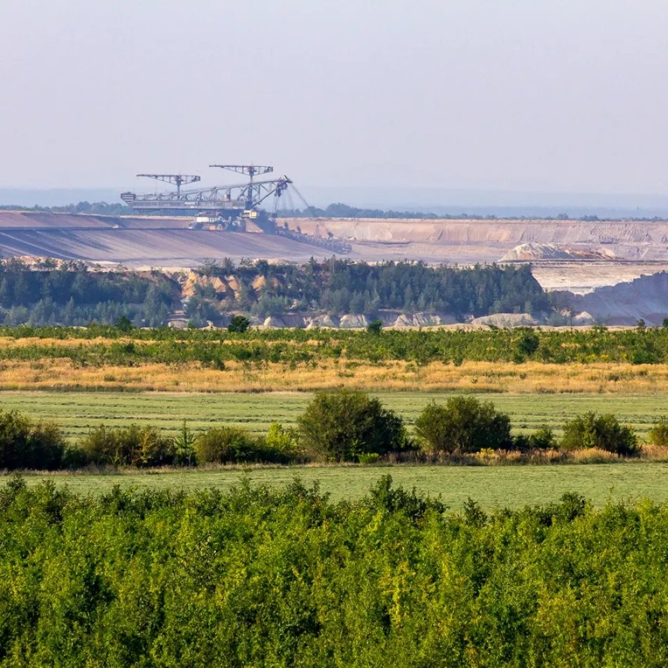 Boden des Jahres 2019: Der Kippenboden