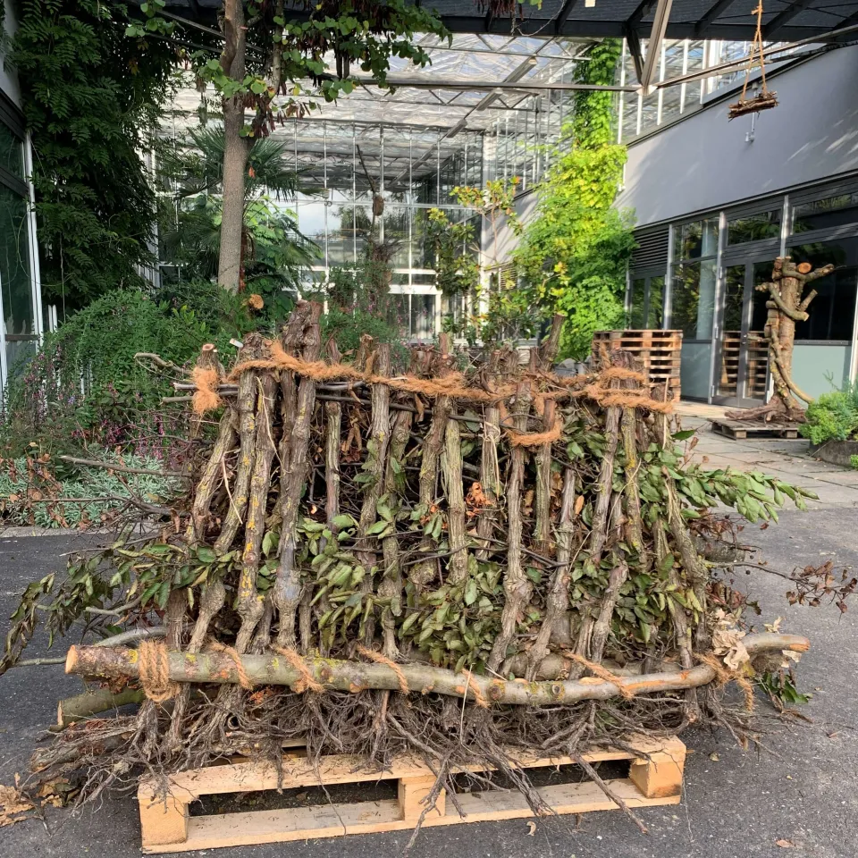 Schulprojekt Biodiversität