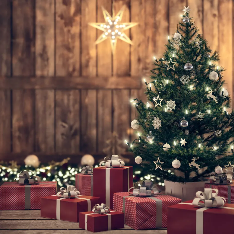 Allüberall auf den Tannenspitzen...