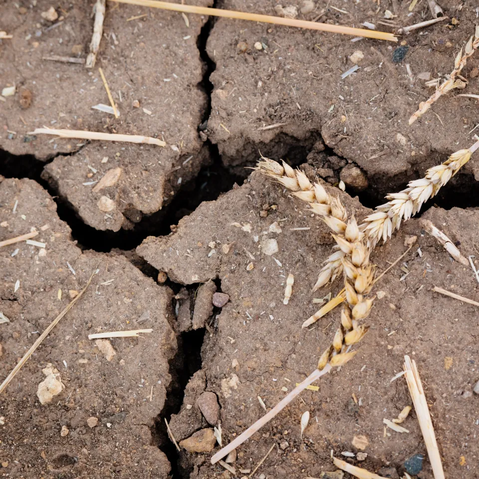 inKA – Gebündelte Forschung