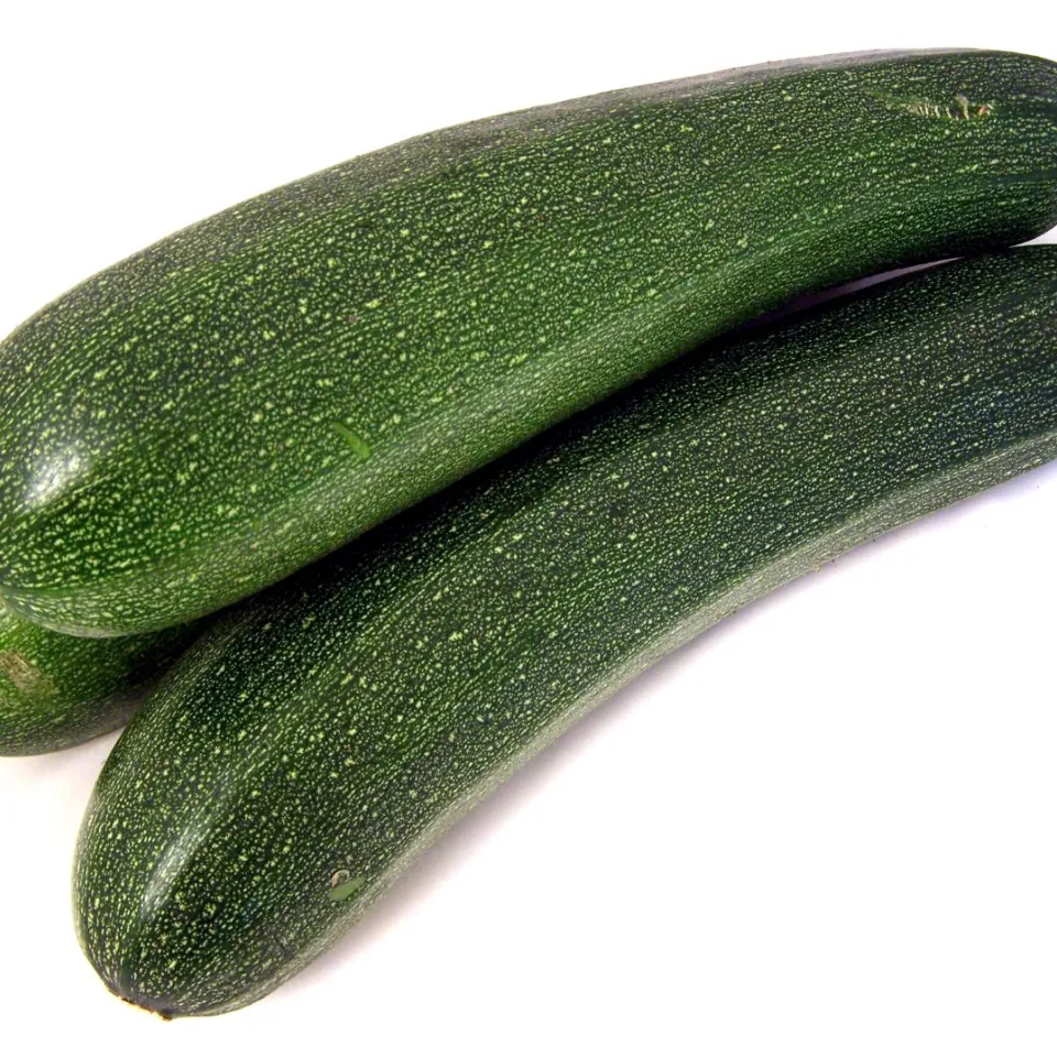 Zucchini – Kürbisse in Gurkenform