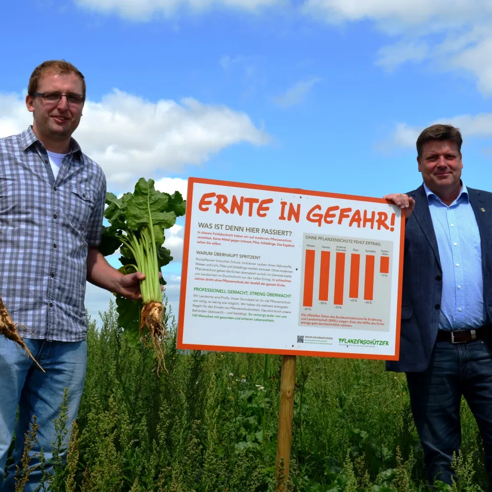 Wenn Unkraut steht, wo Rüben wachsen sollen