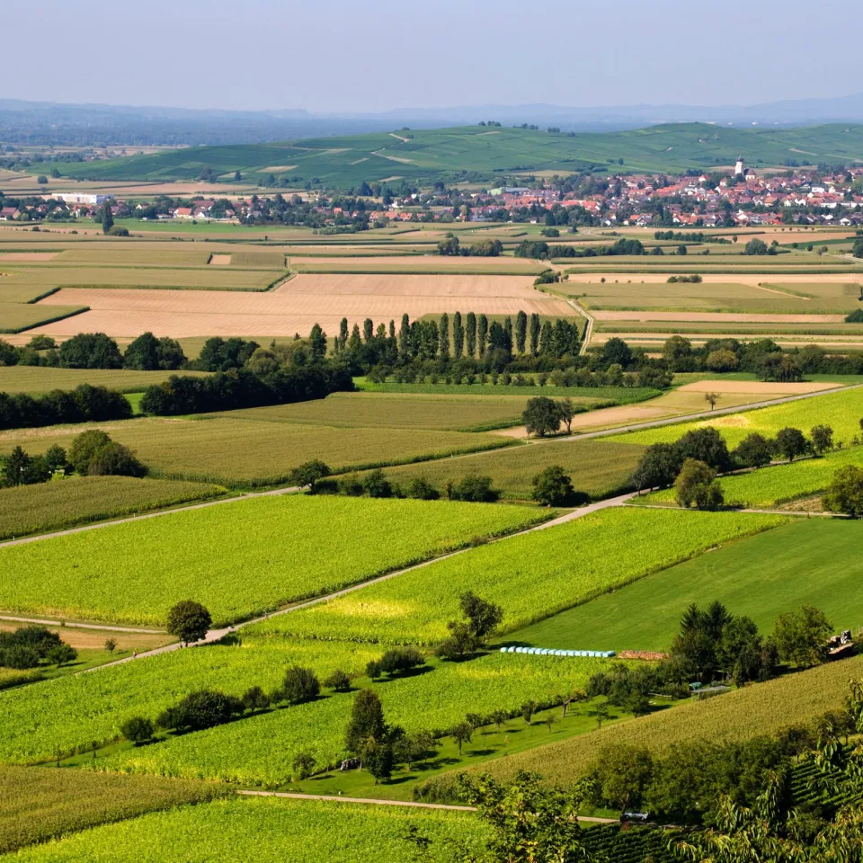 IVA: "Innovation-Deal" für die Landwirtschaft