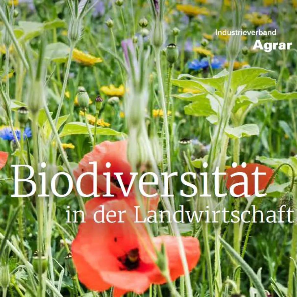 Passen produktive Landwirtschaft und Biodiversität zusammen?