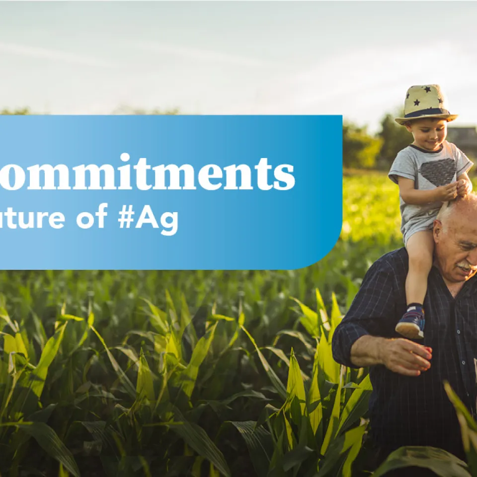 Neue Lösungen für die Landwirtschaft von morgen