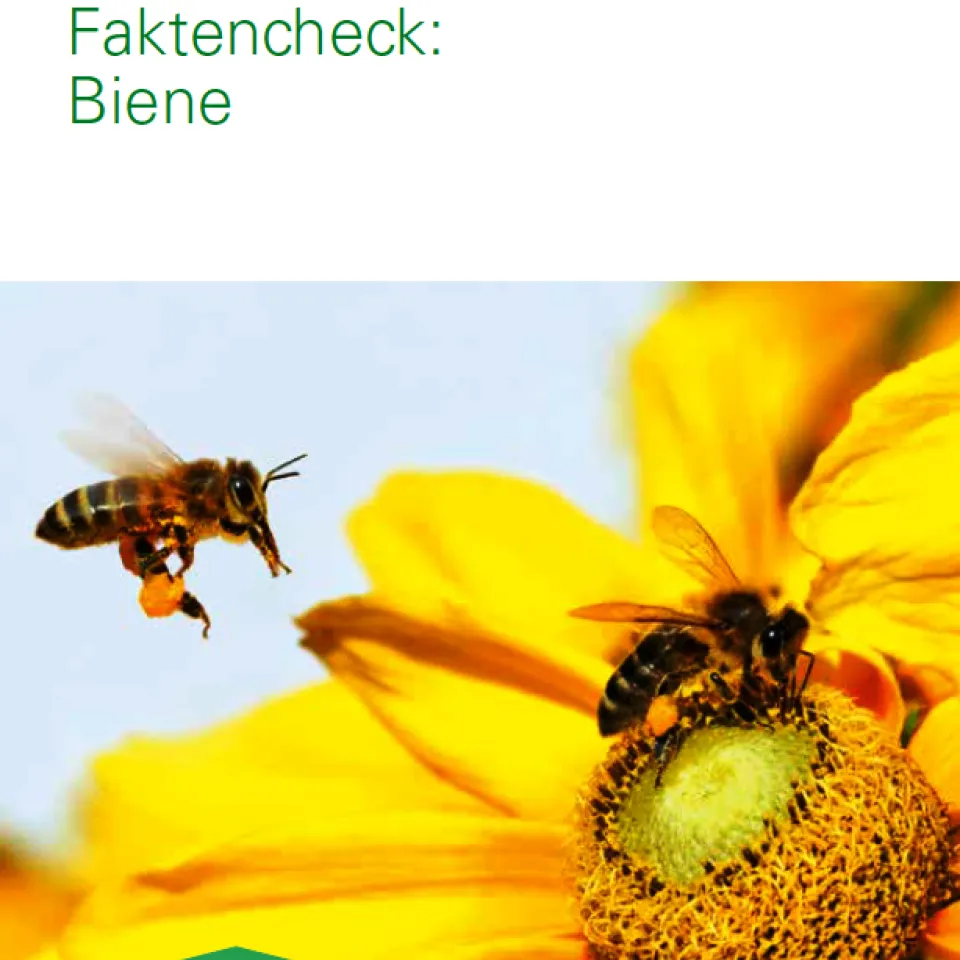 Eine komplexe Diskussion