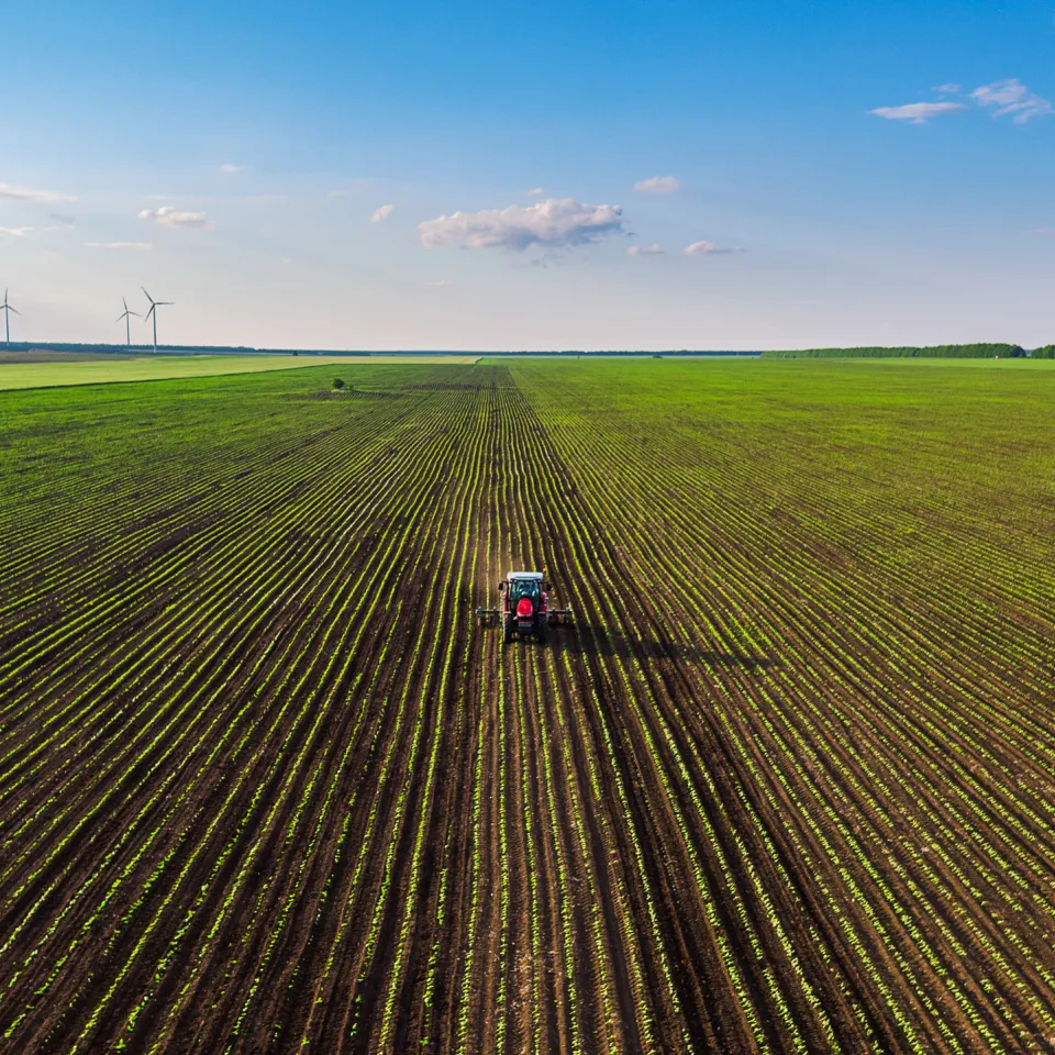 "Farm to Fork": Höchste Zeit für umfassende Folgenabschätzung