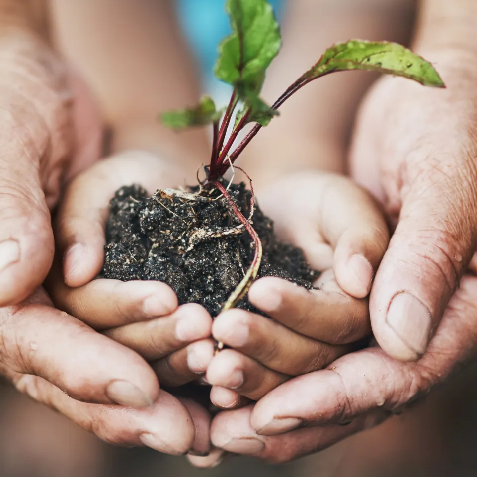 Global Fertilizer Day 2021