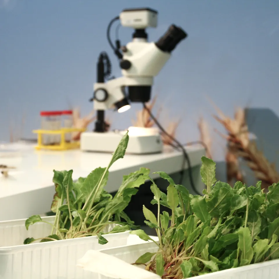 IVA: ErlebnisBauernhof nimmt Schadinsekten unter die Lupe