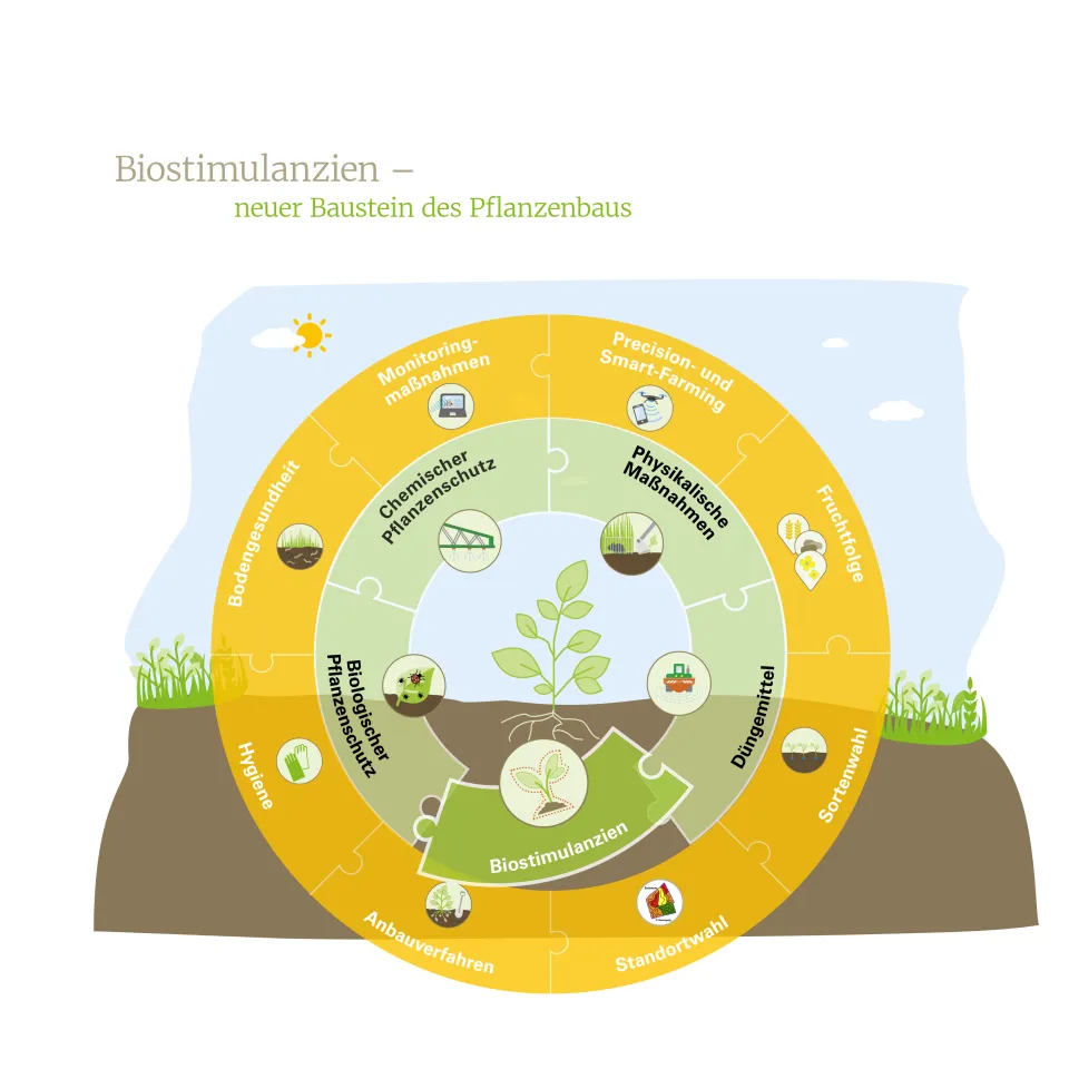 Biostimulanzien – Ein neuer Baustein des Pflanzenbaus