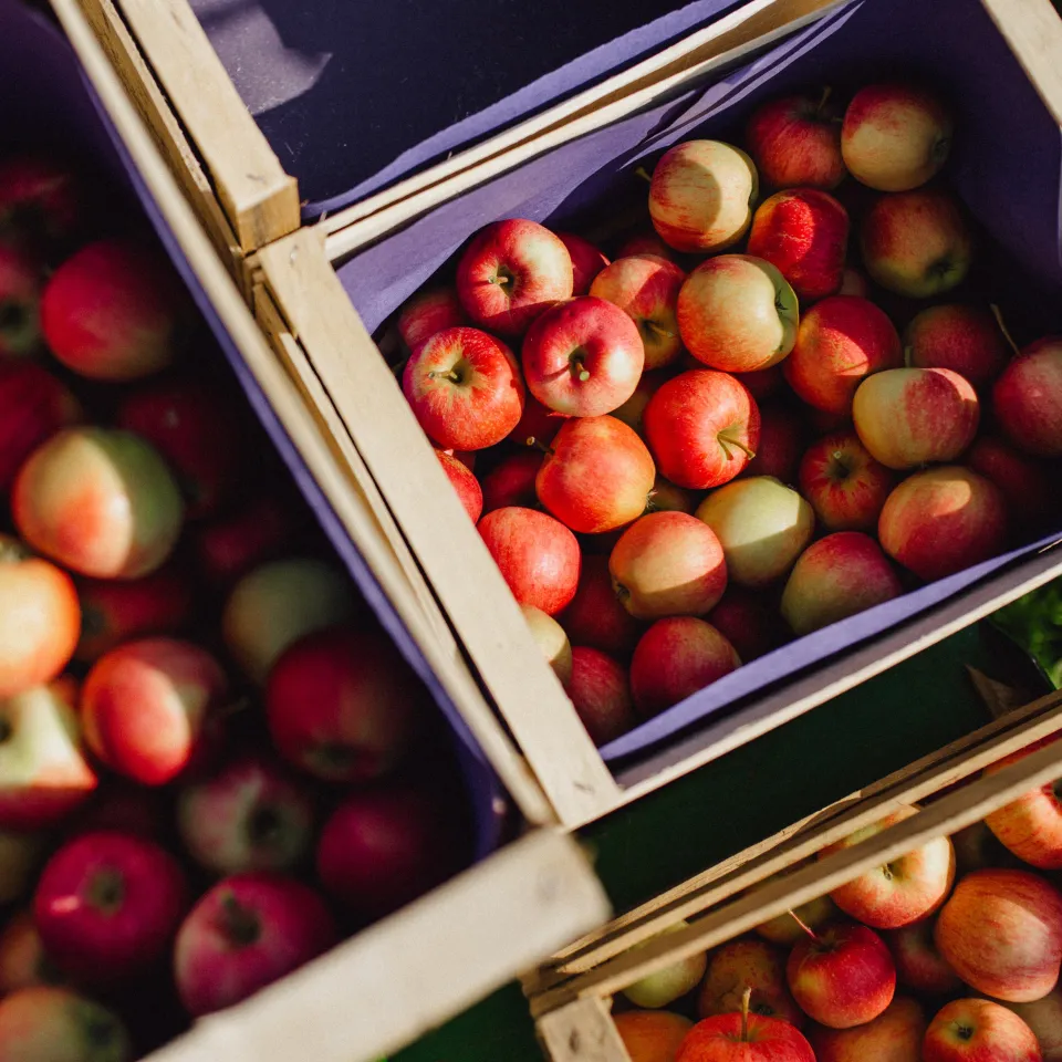 Obst und Gemüse: Anbauer rechnen mit steigenden Importen