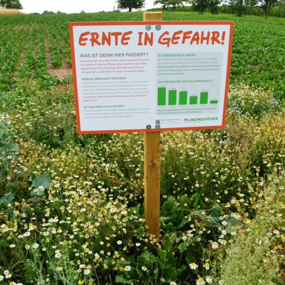 "Schau ins Feld!" geht in die nächste Runde