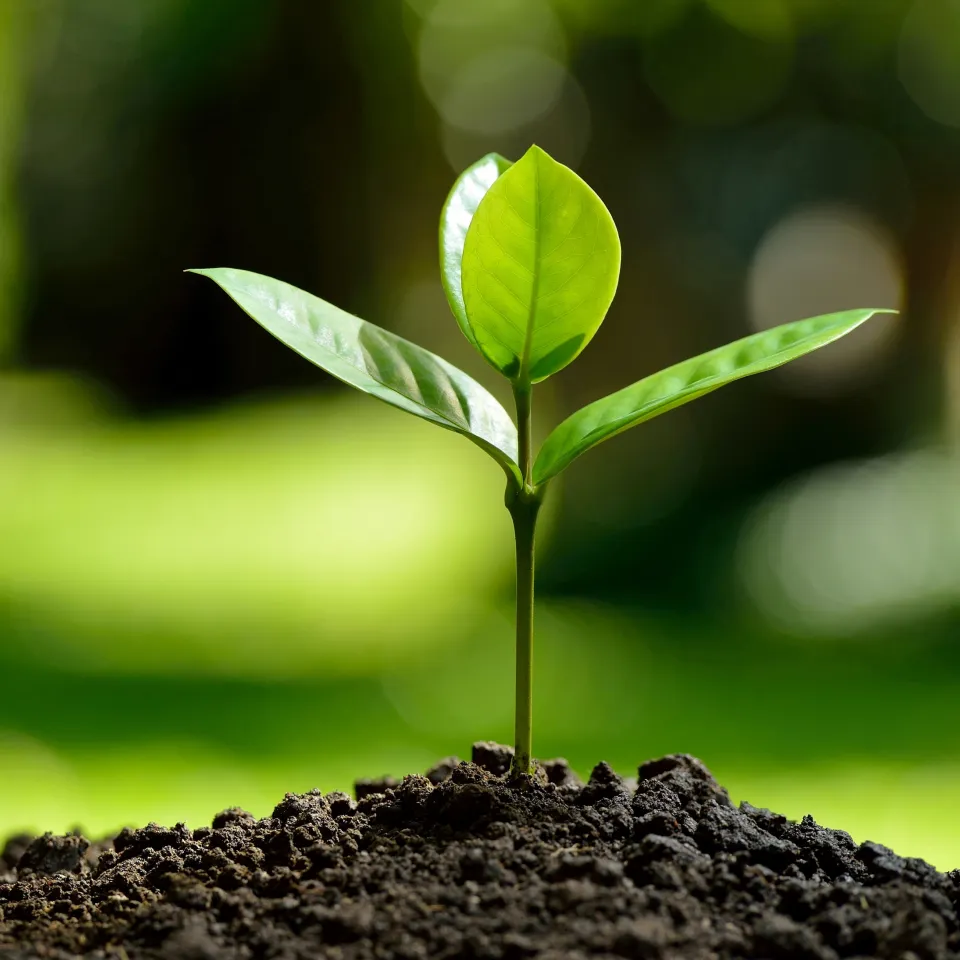 IVA: Biostimulanzien machen Nutzpflanzen widerstandsfähig