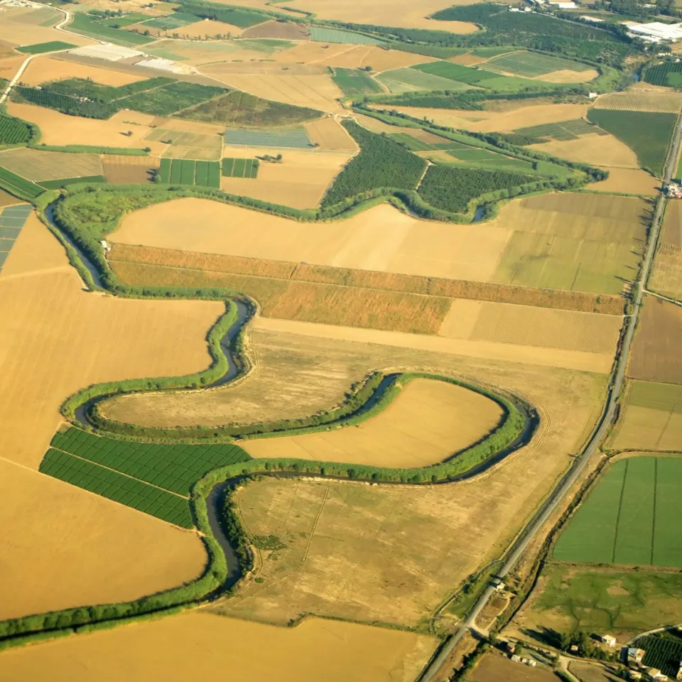 Wirksamer Pflanzenschutz sichert europäische Agrarproduktion