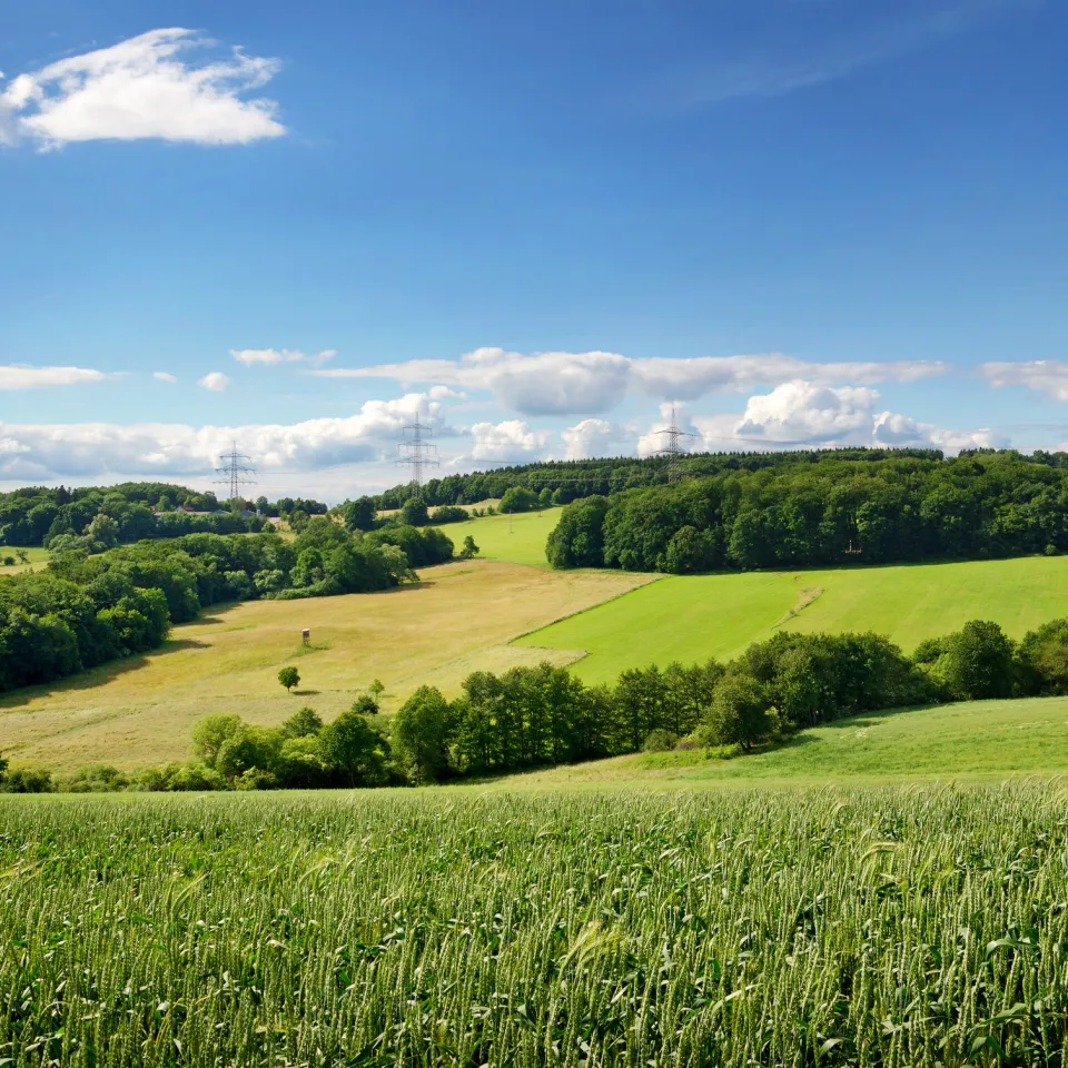 Produktive heimische Agrarwirtschaft essentiell für Versorgungssicherheit