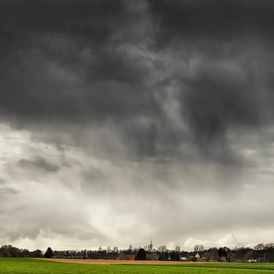 Behördliches Kompetenzgerangel schadet der Landwirtschaft