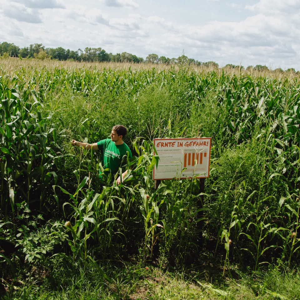 "Schau ins Feld!" 2019: Deutschlandweiter Beteiligungsrekord