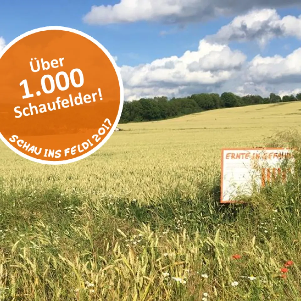„Schau ins Feld!“ 2017 mit Rekord-Teilnahme