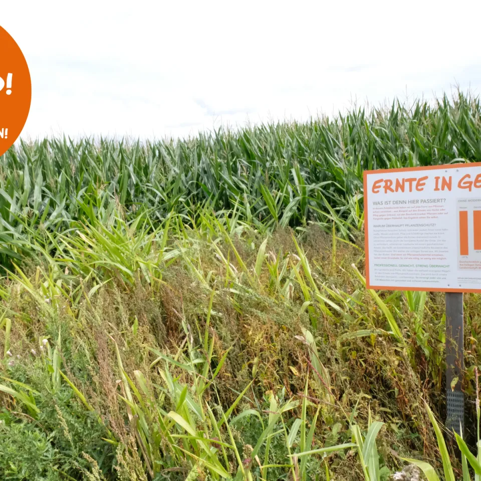 "Schau ins Feld!" 2020 – was ist der Nutzen von Pflanzenschutz?