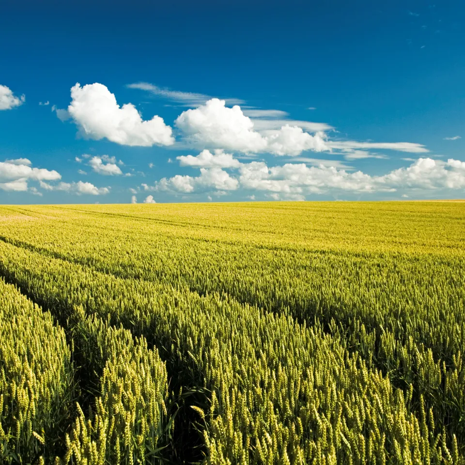 Sicherheit von Verbrauchern und Anwendern hat höchste Priorität