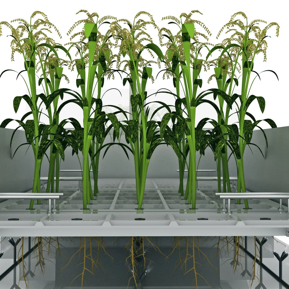 Skyfarming – Ertragreiche und sichere Ernten auf vielen Ebenen