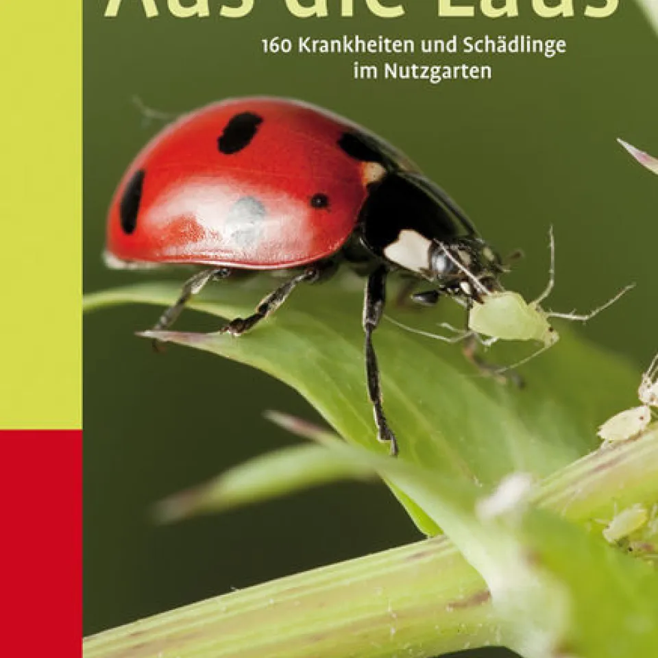 Aus die Laus – 160 Krankheiten und Schädlinge im Nutzgarten