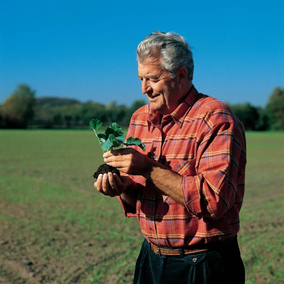 Pflanzenschutz bleibt unverzichtbar
