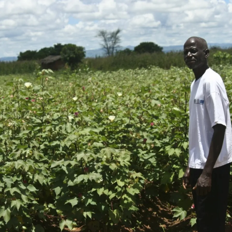 "Gerade Bauern in Entwicklungsländern profitieren von Gentechnik"