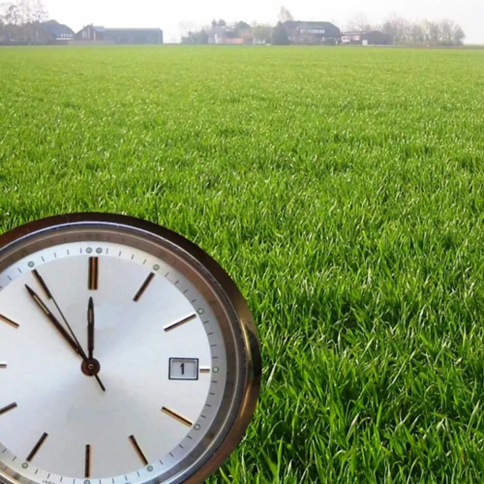 Die biologische Uhr des Getreides