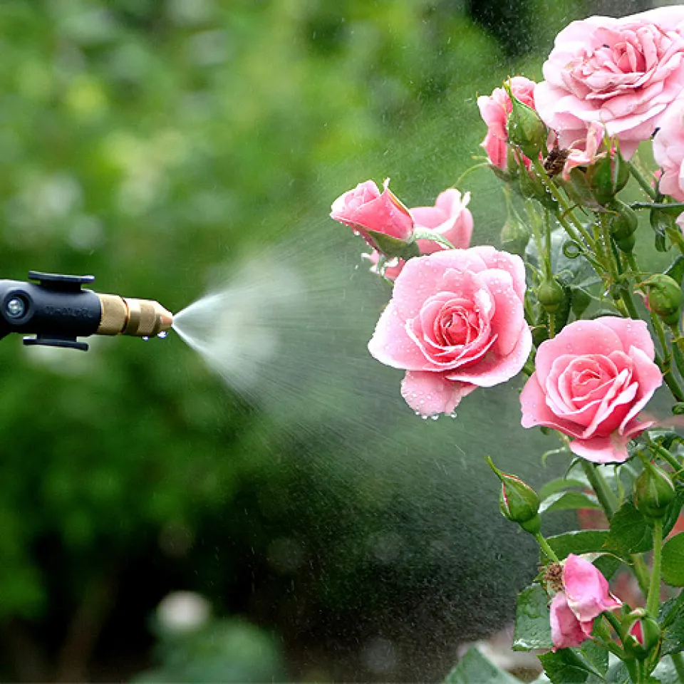 Pflanzenschutzmittel im Hobbygarten 