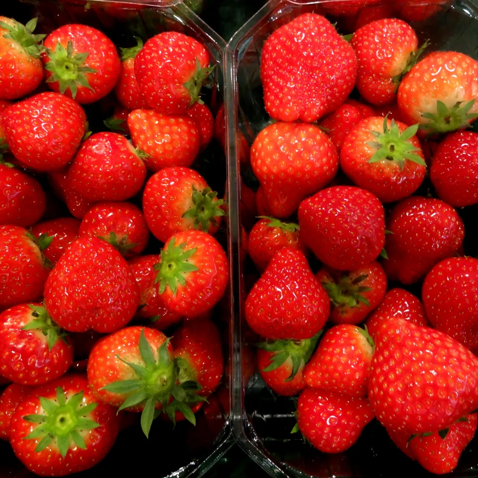 Bei Erdbeeren für einen guten Start sorgen