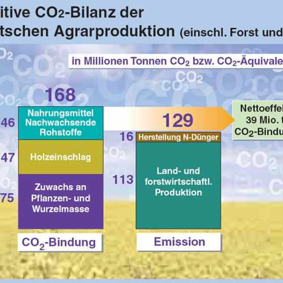 Kohlendioxid-Schlucker und Sauerstoff-Kraftwerke in der Landwirtschaft