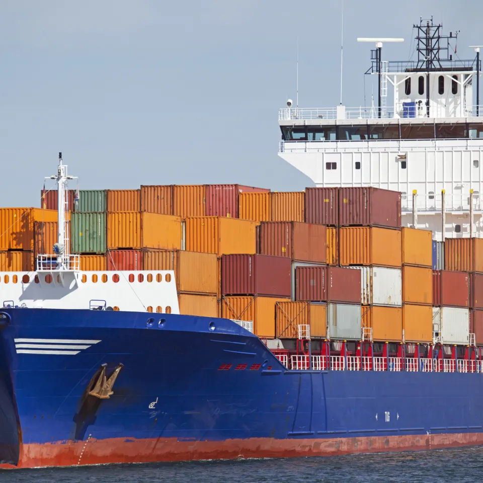 Blinde Passagiere: Insekten unterwegs in riesigen Containerschiffen