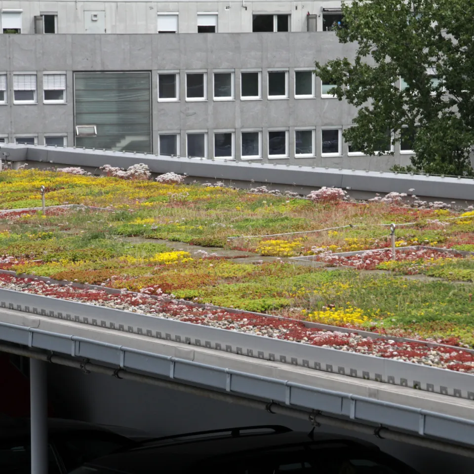 Unternehmensstandorte sollen biologisch aktiver werden