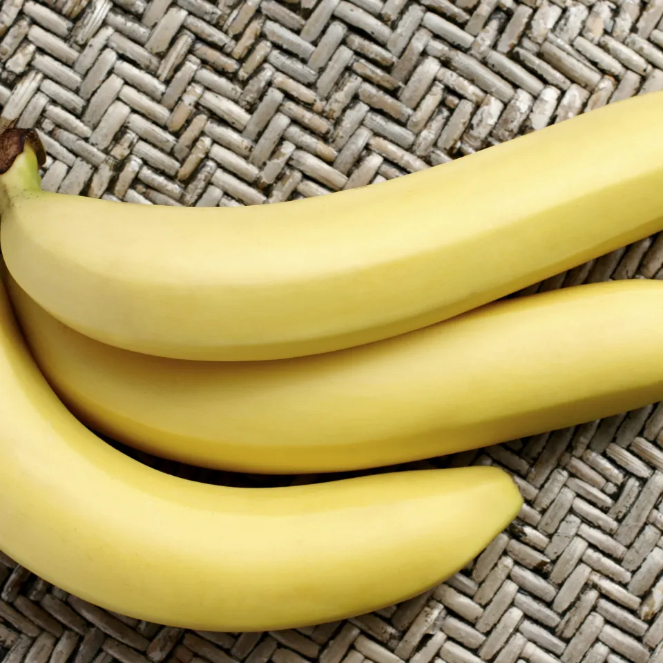 Bedrohte Bananen: Rettung durch Gentechnik?