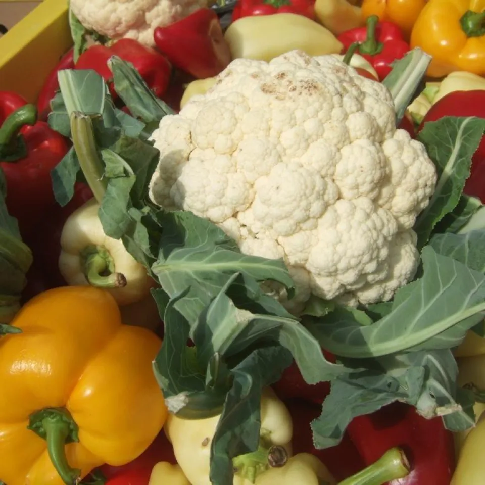 Schwefelmangel: gesunde Luft – krankes Gemüse?