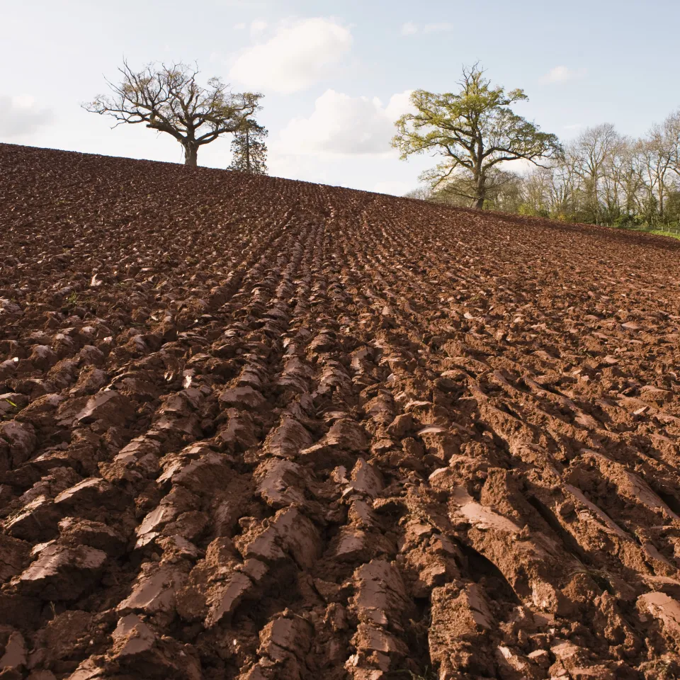 Moderne Landwirtschaft sichert gesunde Böden