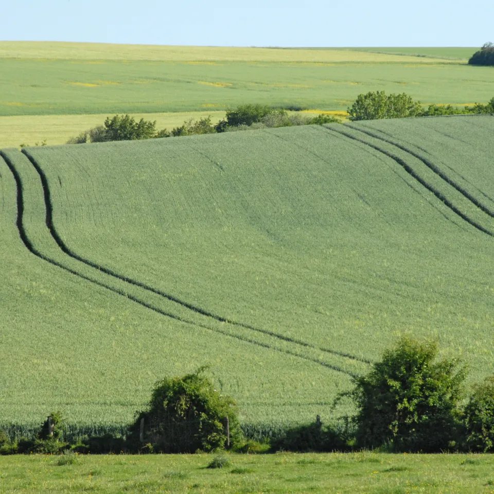 Ökonomisch sinnvoll, ökologisch tragfähig und sozial verantwortungsvoll