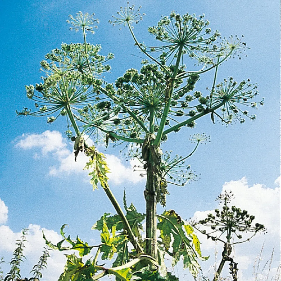 Hautkontakt vermeiden 