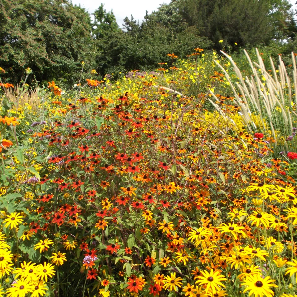 Staudengarten Hermannshof – Gestalterische Verdichtung für kleine und große Gärten