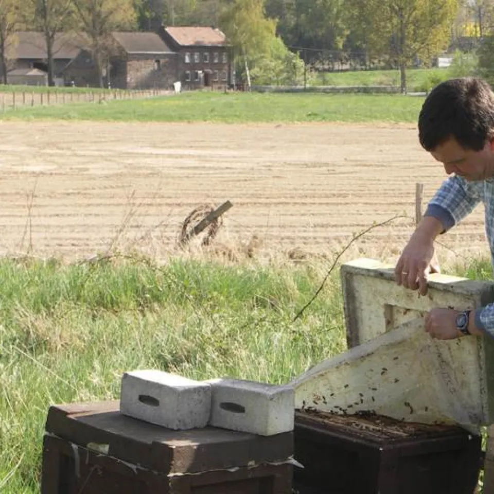 "Imker können Bienengesundheit verbessern"