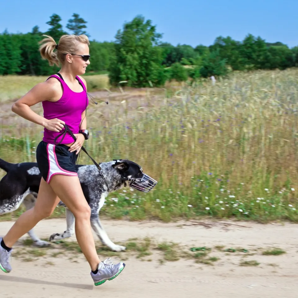 Gewittertierchen nerven Sportler im Sommer