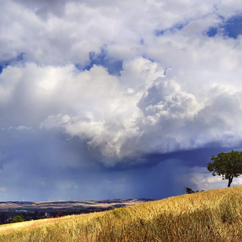 Wie wirkt sich der Klimawandel auf die Landwirtschaft aus?
