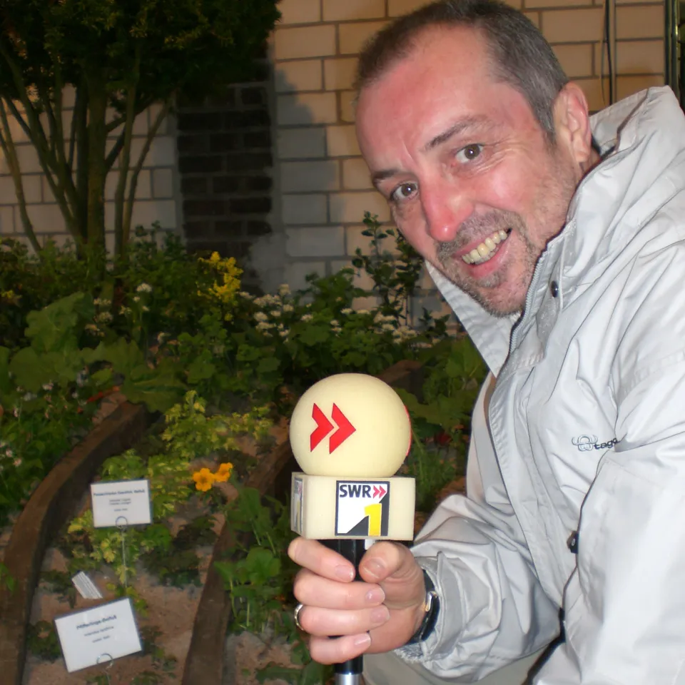 Bier gegen Schnecken und andere Gartenirrtümer