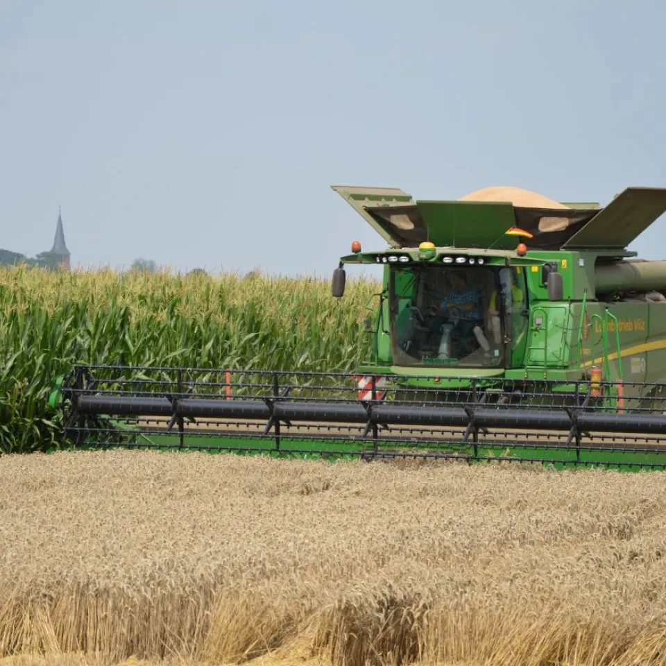 Große Getreideernte 2014