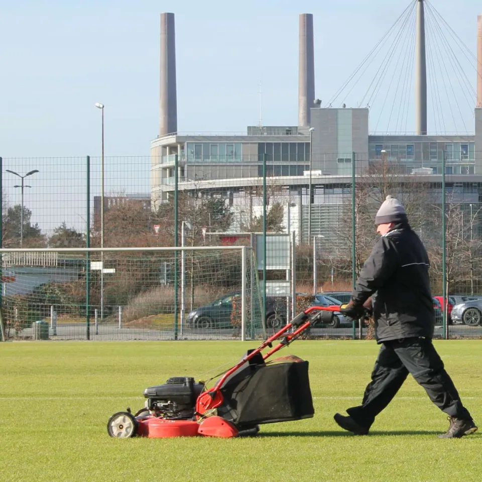 Rasenpflege: Das Erfolgsrezept eines Profis