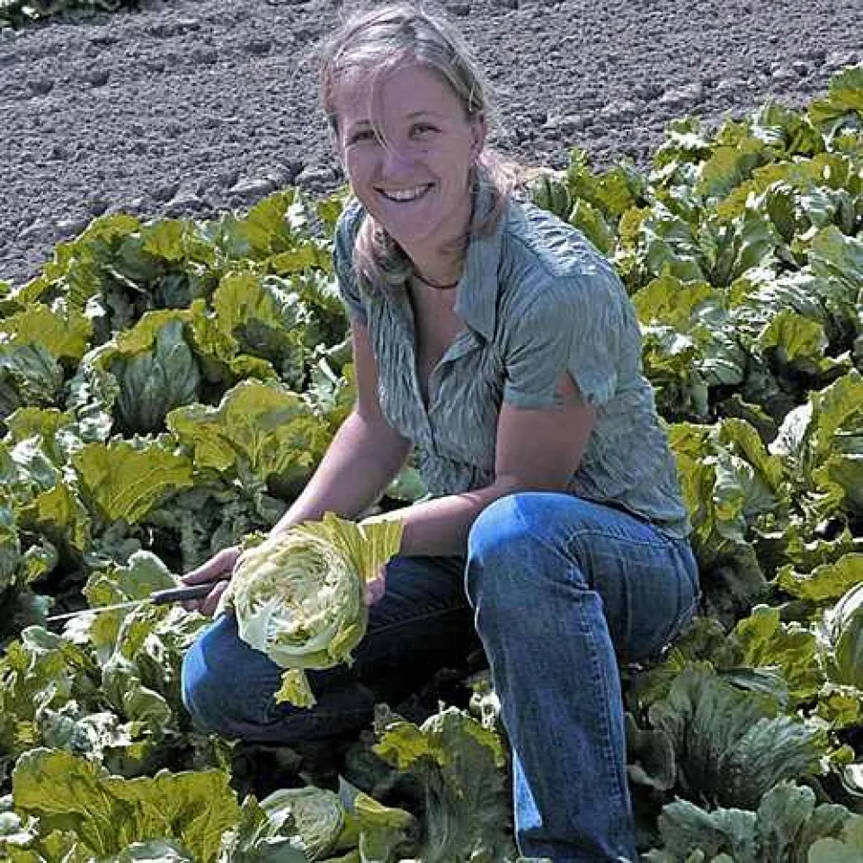 Nitrat in der Nahrung - besonders gesund?