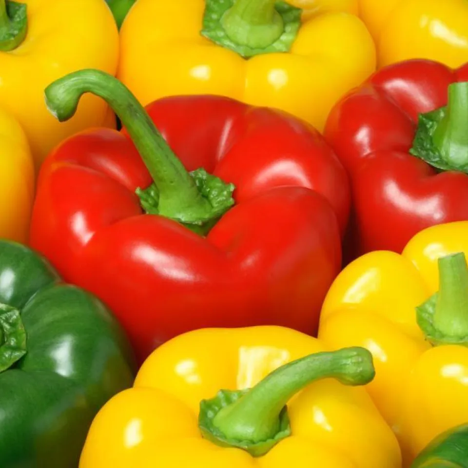 Lebensmittelsicherheit: Fakten statt Emotionen