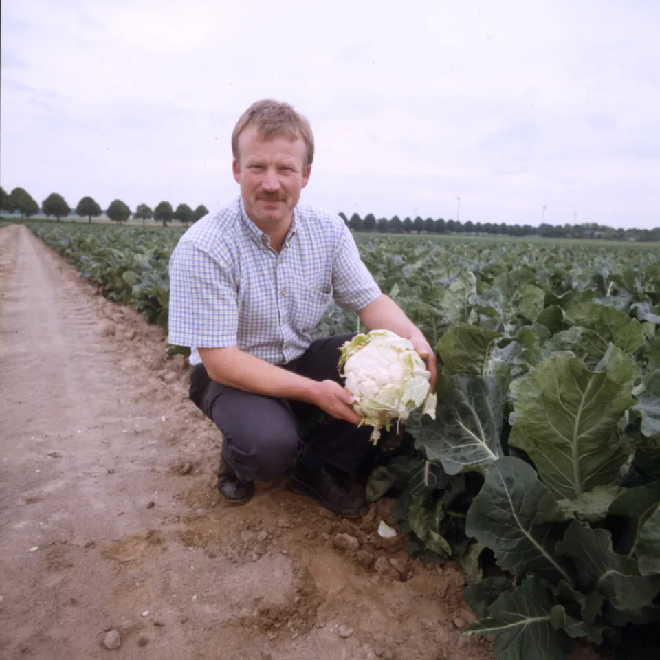 "Keine halben Sachen"