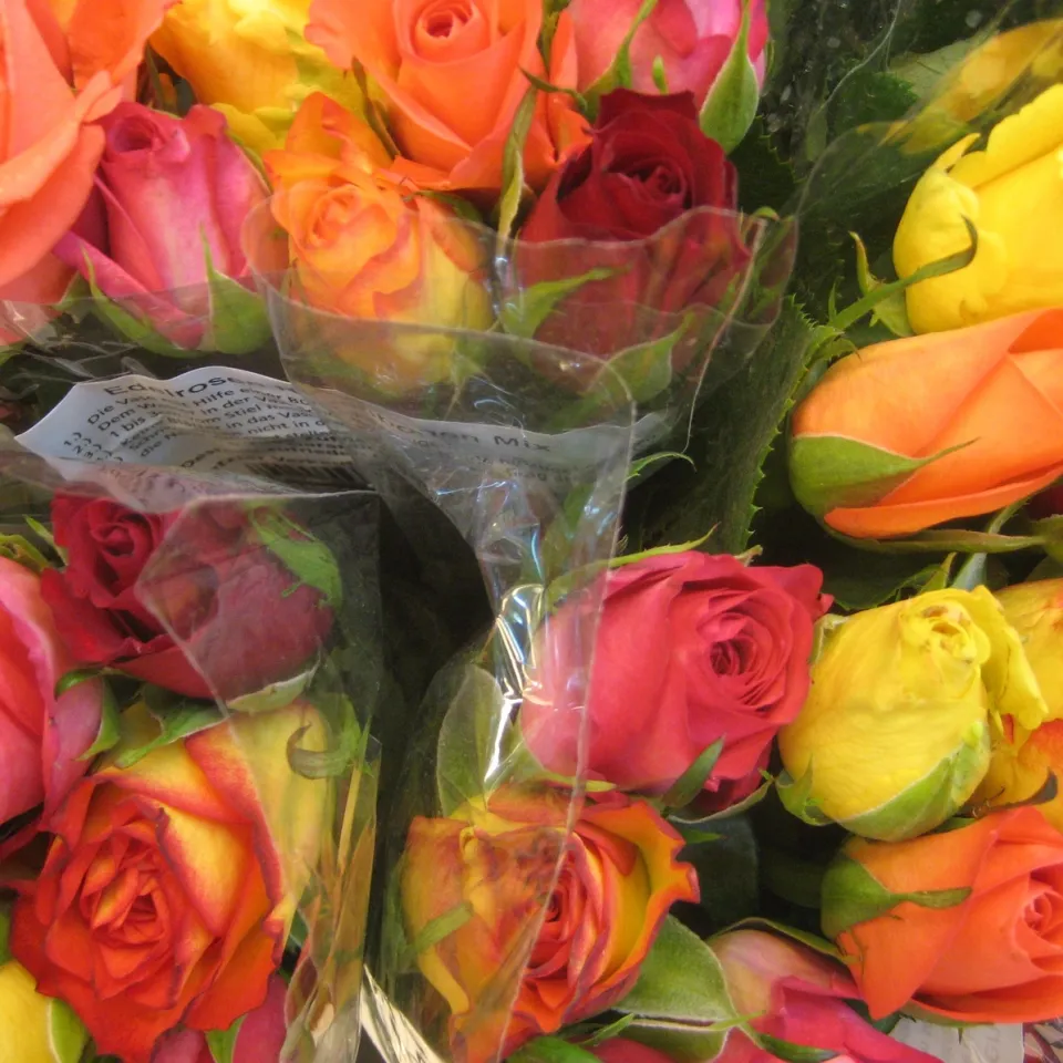 Mit Schnittblumen reine Freude schenken